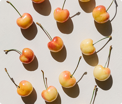 프리미엄 제품 선택 가이드